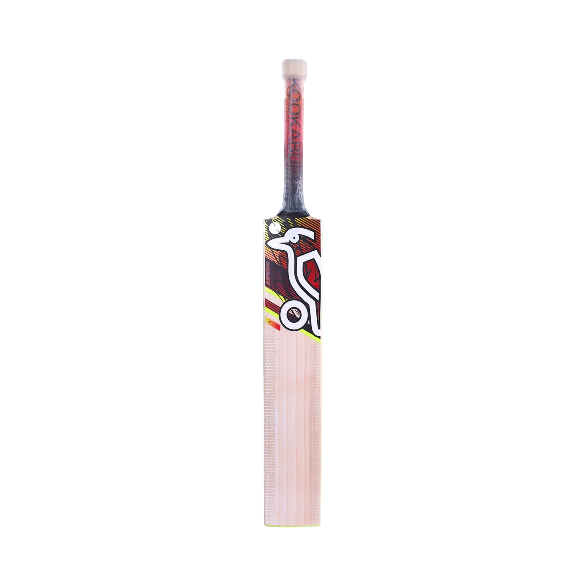 Beast 5.1 Junior Cricket Bat